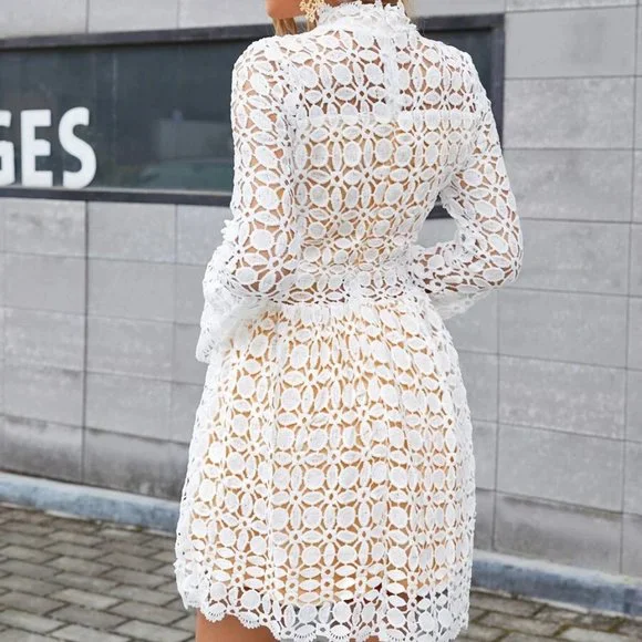 //BEST SELLER// Mesh Insert Mock Neck Flounce Sleeve Lace Dress - Picture 3 of 9